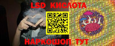 спайс Кингисепп