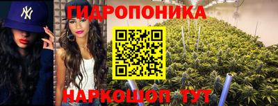 спиды Кимры