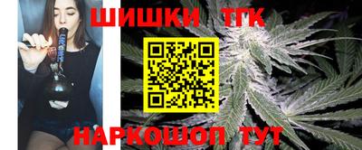 спайс Кингисепп