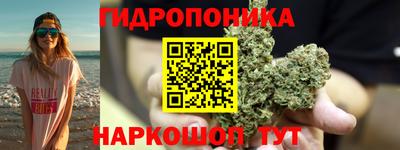 спиды Кимры