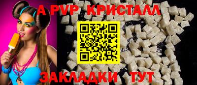 спайс Кингисепп