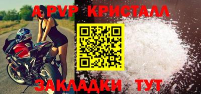 спайс Кингисепп