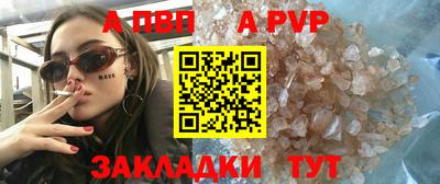 спайс Кингисепп