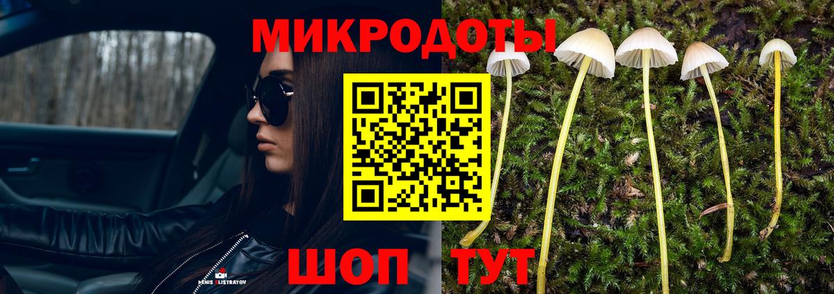 Галлюциногенные грибы MAGIC MUSHROOMS Лабинск