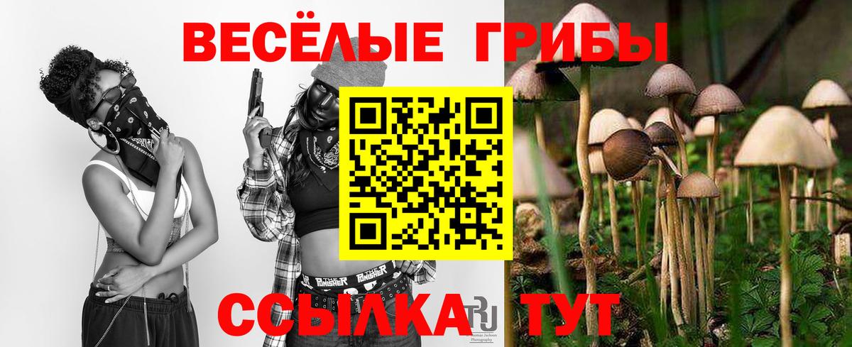 Псилоцибиновые грибы GOLDEN TEACHER  Вход с VPN  Лабинск 